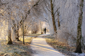 Winter walks
