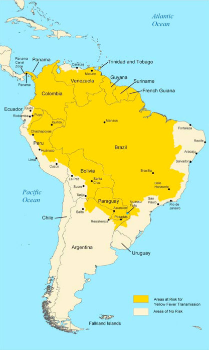 yellow fever south america